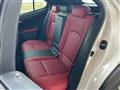 2019 Lexus UX