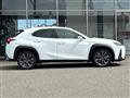 2019 Lexus UX
