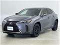 2019 Lexus UX