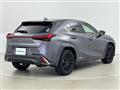 2019 Lexus UX
