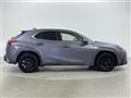 2019 Lexus UX