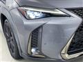 2019 Lexus UX