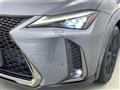 2019 Lexus UX