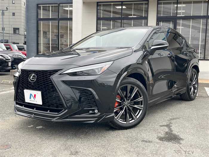 2024 Lexus NX