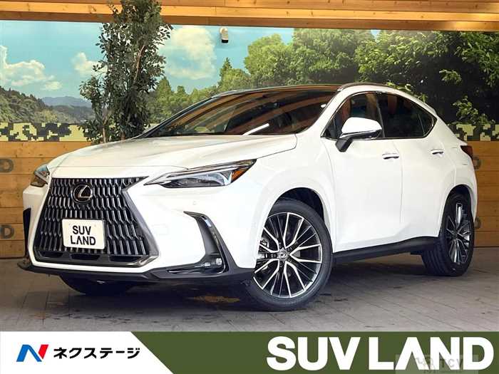 2025 Lexus NX
