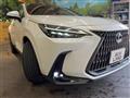 2025 Lexus NX