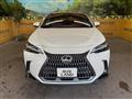 2025 Lexus NX