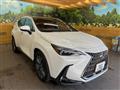 2025 Lexus NX