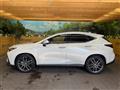 2025 Lexus NX