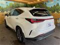 2025 Lexus NX