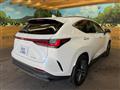 2025 Lexus NX