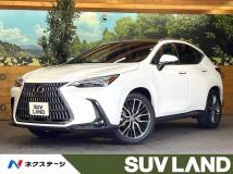 2025 Lexus NX