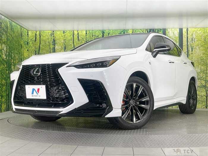 2025 Lexus NX