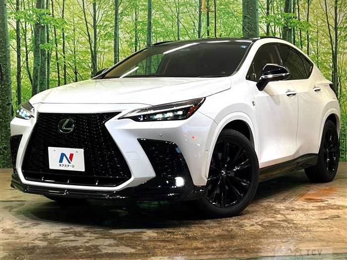 2024 Lexus NX