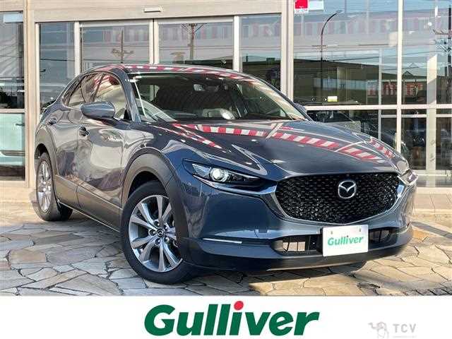 2021 Mazda CX-3