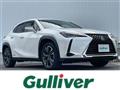 2019 Lexus UX