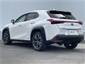 2019 Lexus UX