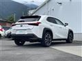 2019 Lexus UX