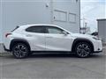 2019 Lexus UX