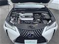 2019 Lexus UX