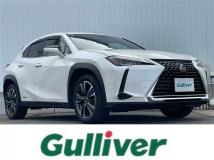 2019 Lexus UX
