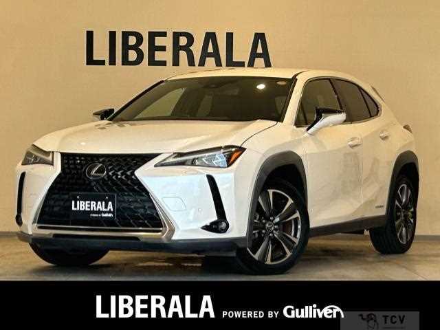2019 Lexus UX