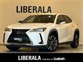 2019 Lexus UX