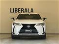 2019 Lexus UX