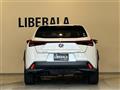 2019 Lexus UX