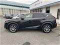 2015 Lexus NX