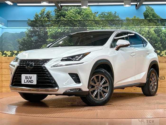 2017 Lexus NX