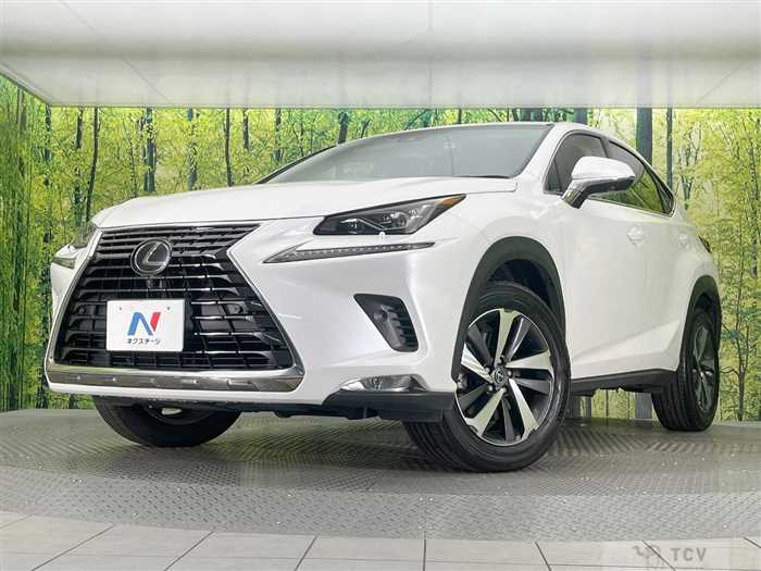 2018 Lexus NX