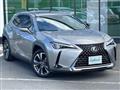 2019 Lexus UX