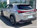 2019 Lexus UX