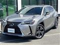 2019 Lexus UX