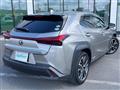2019 Lexus UX