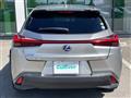 2019 Lexus UX