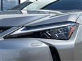 2019 Lexus UX