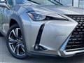 2019 Lexus UX