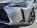 2019 Lexus UX