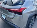 2019 Lexus UX