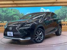 2016 Lexus NX