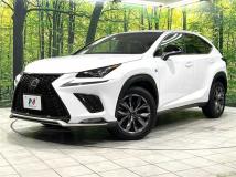 2017 Lexus NX