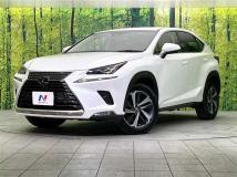 2018 Lexus NX