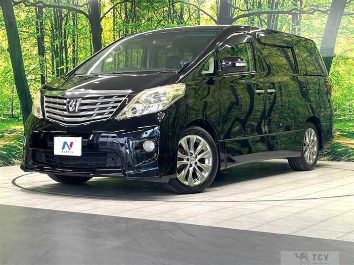 2010 Toyota Alphard
