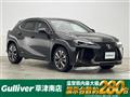 2021 Lexus UX