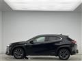 2021 Lexus UX