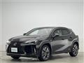 2021 Lexus UX