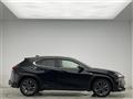 2021 Lexus UX