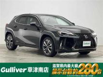 2021 Lexus UX